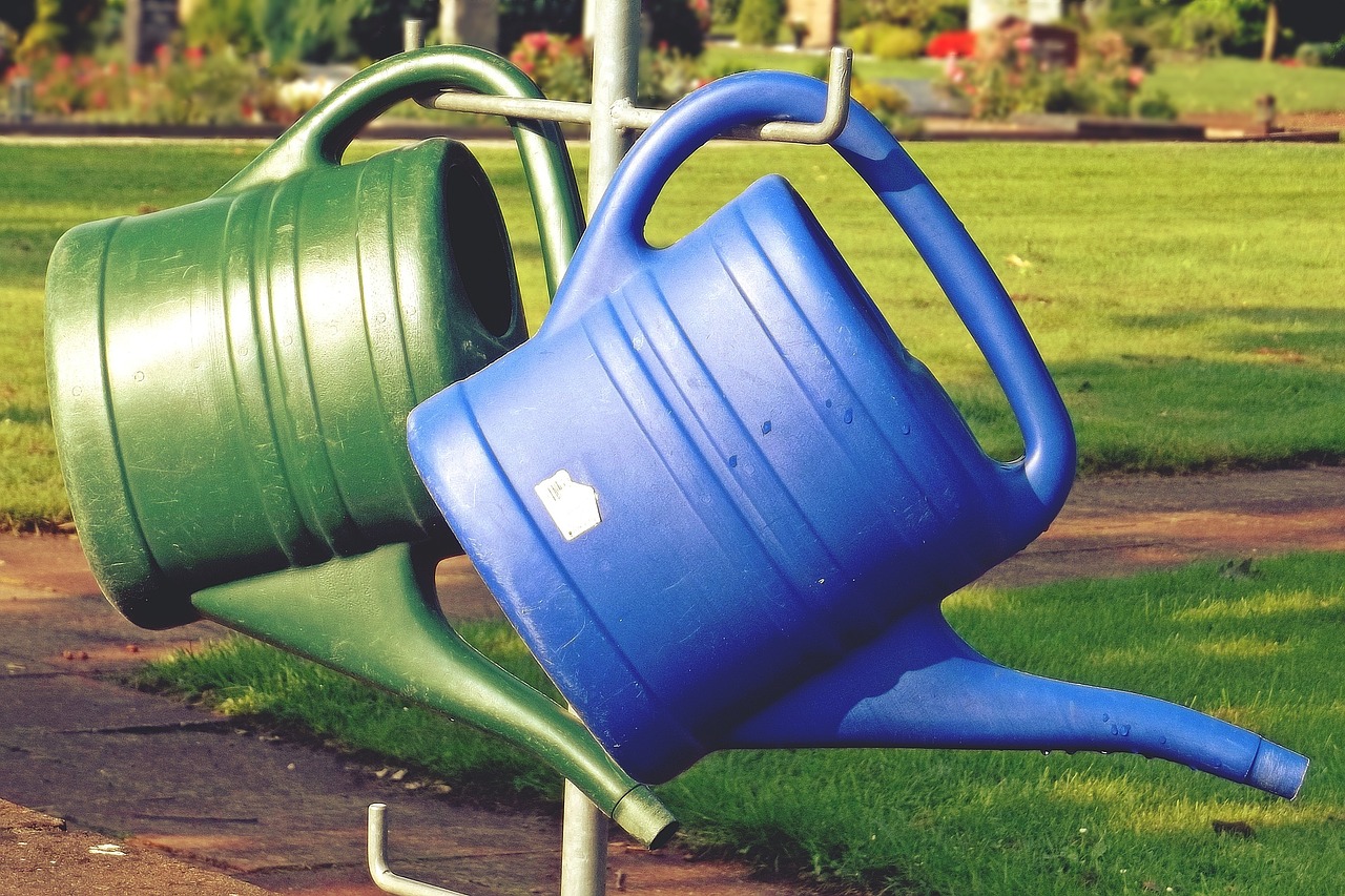Are Biodegradable Plastics Really Eco-Friendly?